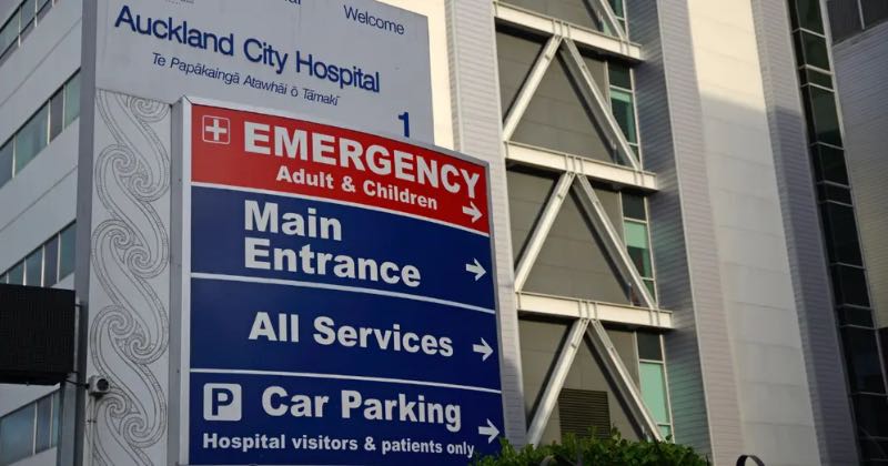 Top 5 Hospitals In New Zealand (2025 Edition)