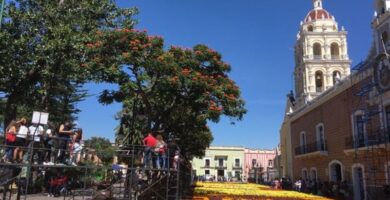SAT de Atlixco