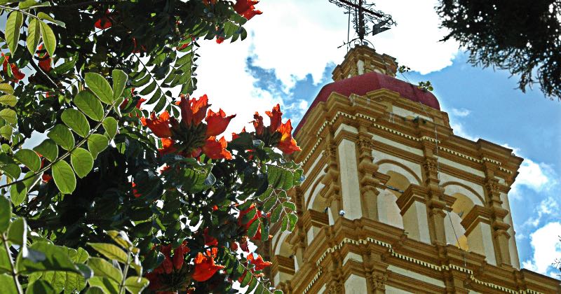 SAT de Izúcar de Matamoros