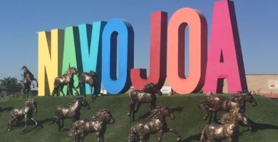 SAT de Navojoa
