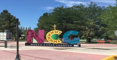 SAT de NUEVO CASAS GRANDES